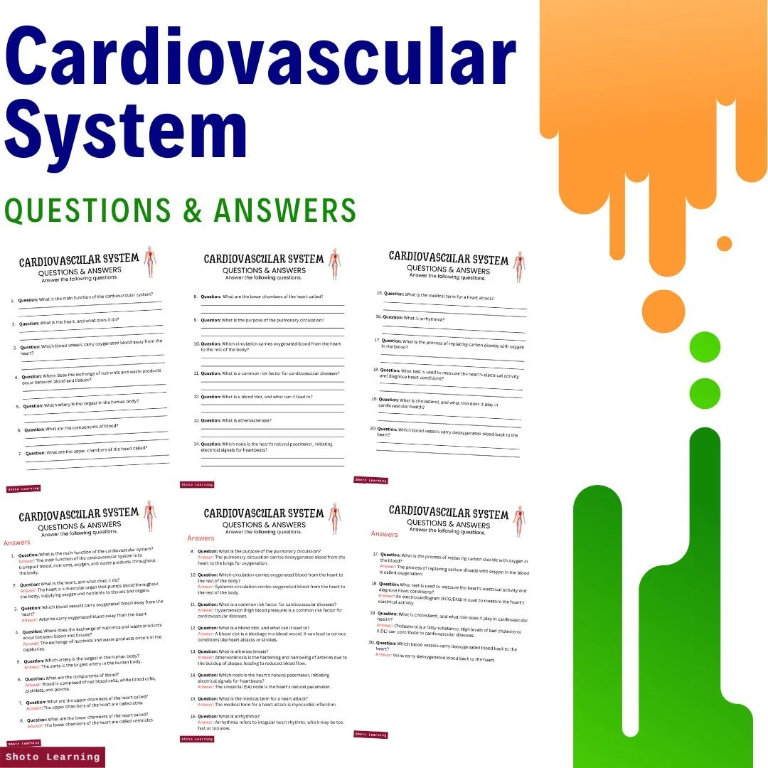 Free Cardiovascular System Cut and Paste Diagram Activity